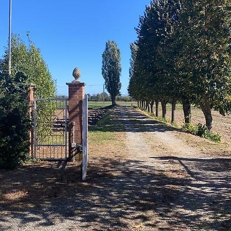 Oviglio Bilocale Immerso Nel Verde المظهر الخارجي الصورة