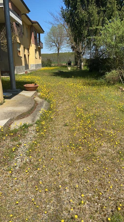 Oviglio Bilocale Immerso Nel Verde المظهر الخارجي الصورة