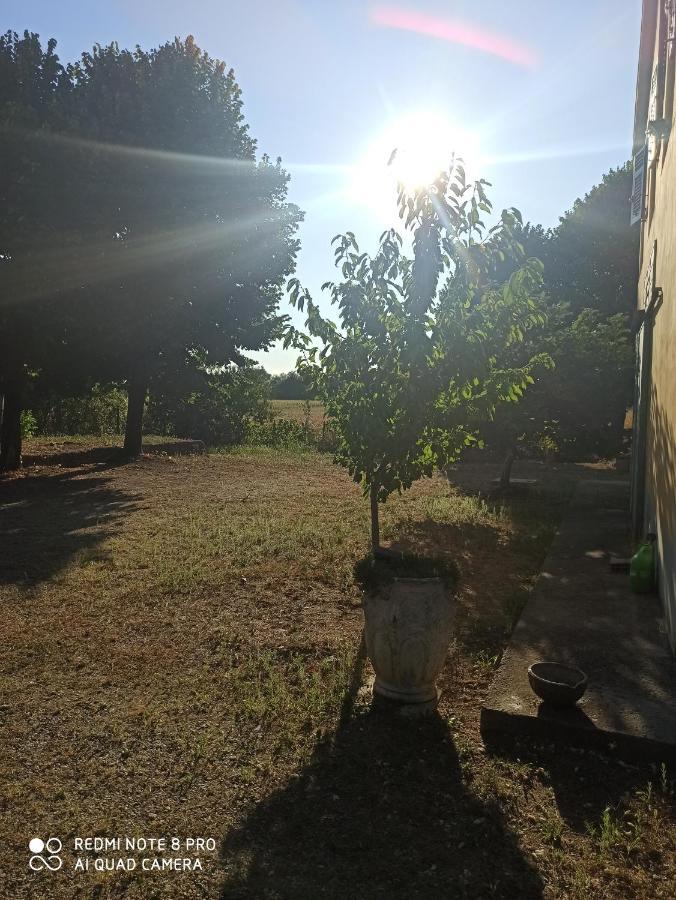 Oviglio Bilocale Immerso Nel Verde المظهر الخارجي الصورة